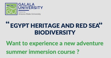 Egypt Heritage and Red Sea summer school poster